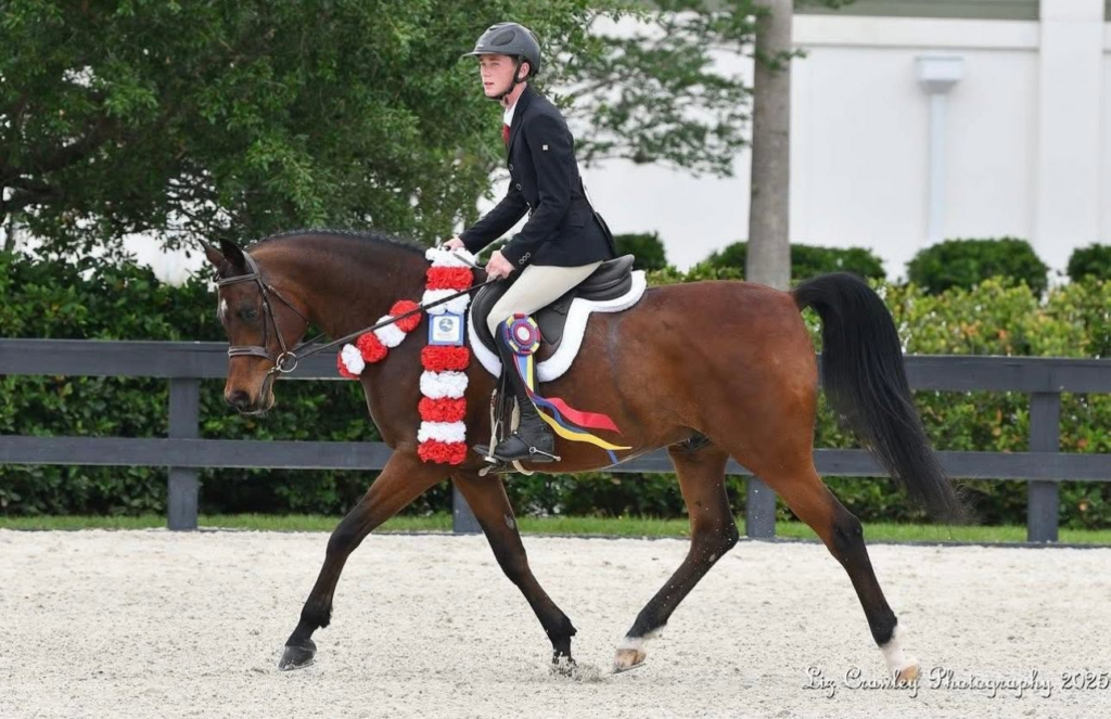 Callaway Saylors rider on a bay horse wearing a championship ribbon and sash